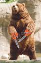 2007-11-29-chainsaw-bear.jpg