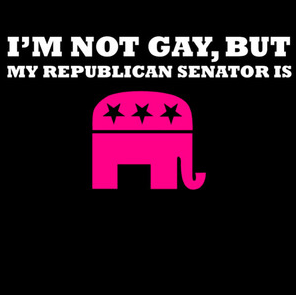 Im Not Gay But My Republican Senator Is T-Shirt